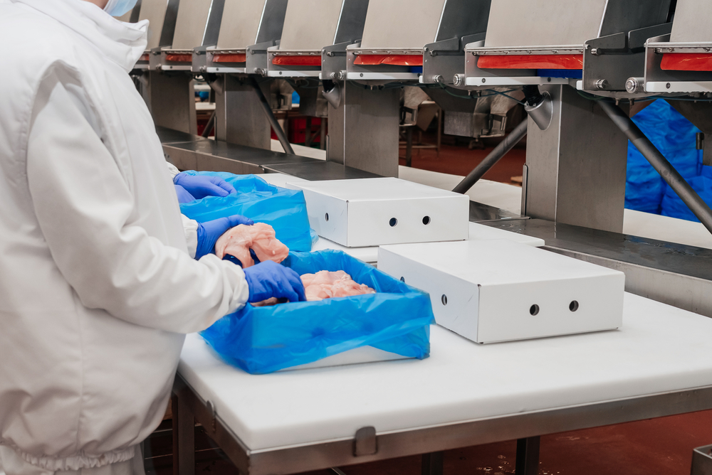 Workers placing raw meat in boxes
