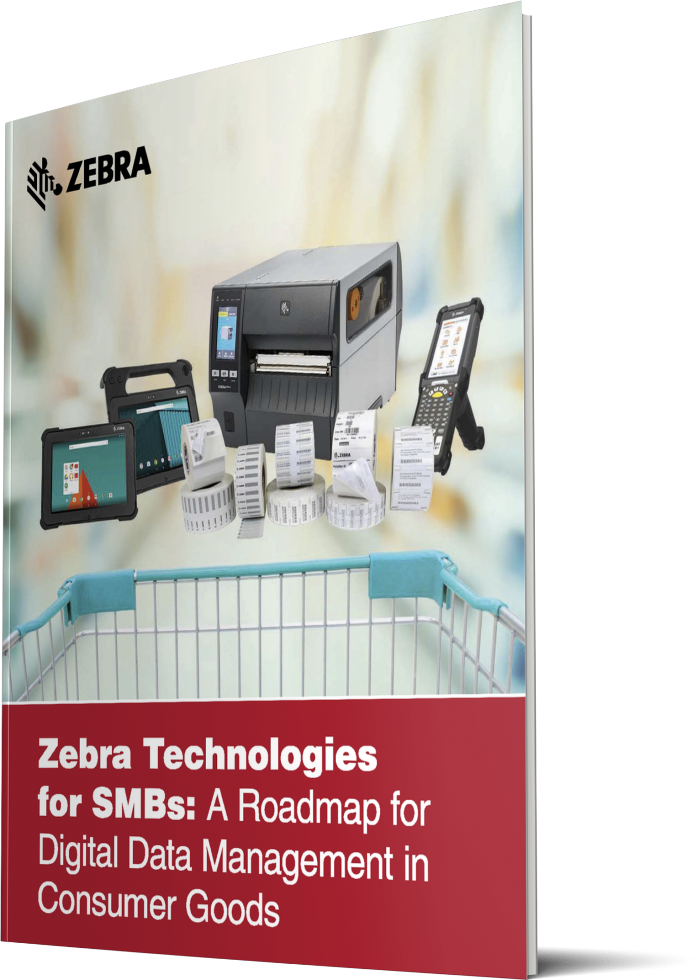 5 Steps to Simplifying Your Barcode Labeling Process